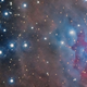 Illustration for article titled Tour the Orion Nebula in This Gorgeous Image